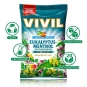 Vivil Eukalyptus-Menthol Hustenbonbons ohne Zucker 120 g
